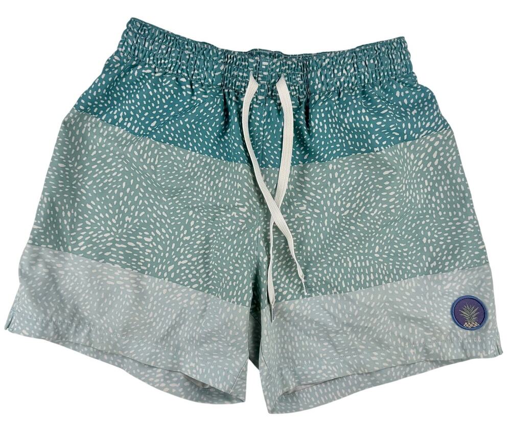 Chubbies The Whale Trunks 5.5" Inseam Size Small